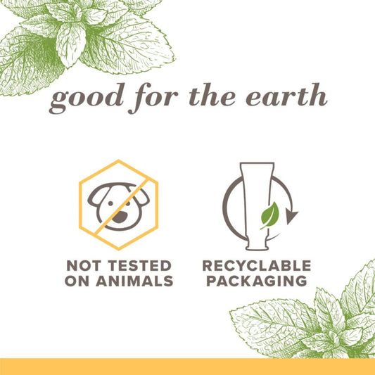 essential-oil-derived zen peppermint and mountain mint flavor variants