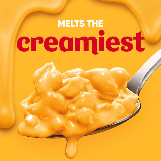 shell-shaped pasta designed to hold creamy cheese sauce