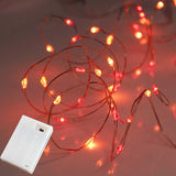QBIS Micro LED String Lights – 40 Bulb Indoor Decor for Living Room Mantel Display and Autumn Centerpiece Styling