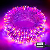 JMEXSUSS Twinkle Lights – UL588 Certified Low Voltage Lights for Girl Bedroom Wall, Dorm Room, and Toddler Room
