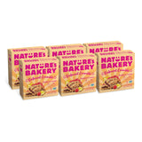 Nature's Bakery Oatmeal Crumble Bars for Kids Lunchbox – Soft Baked Strawberry Snack, 12 Count