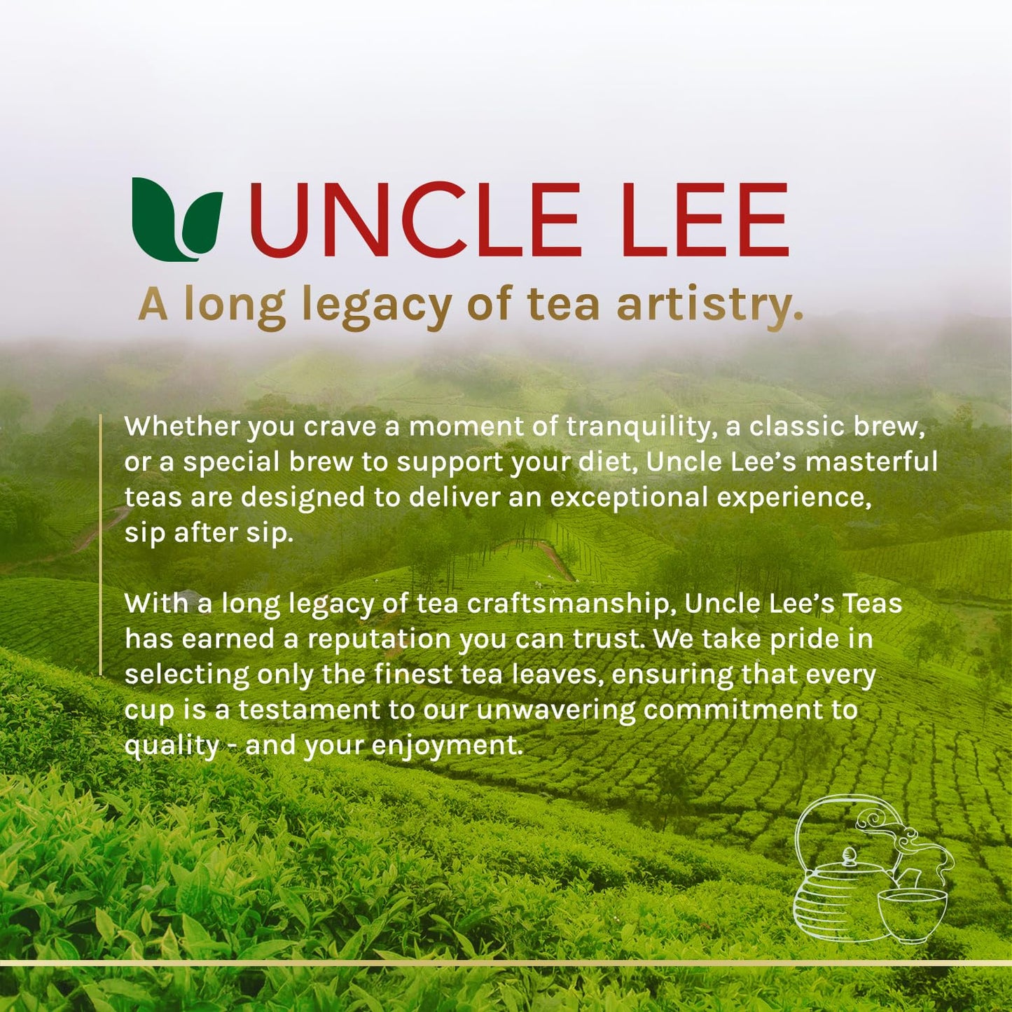 Uncle Lee's Organic Matcha Green Tea Bags – Smooth Focus Drink for Home Office and Remote Workdays
