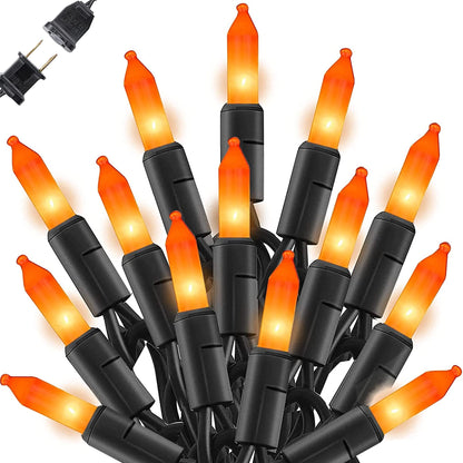 100 Count - Orange