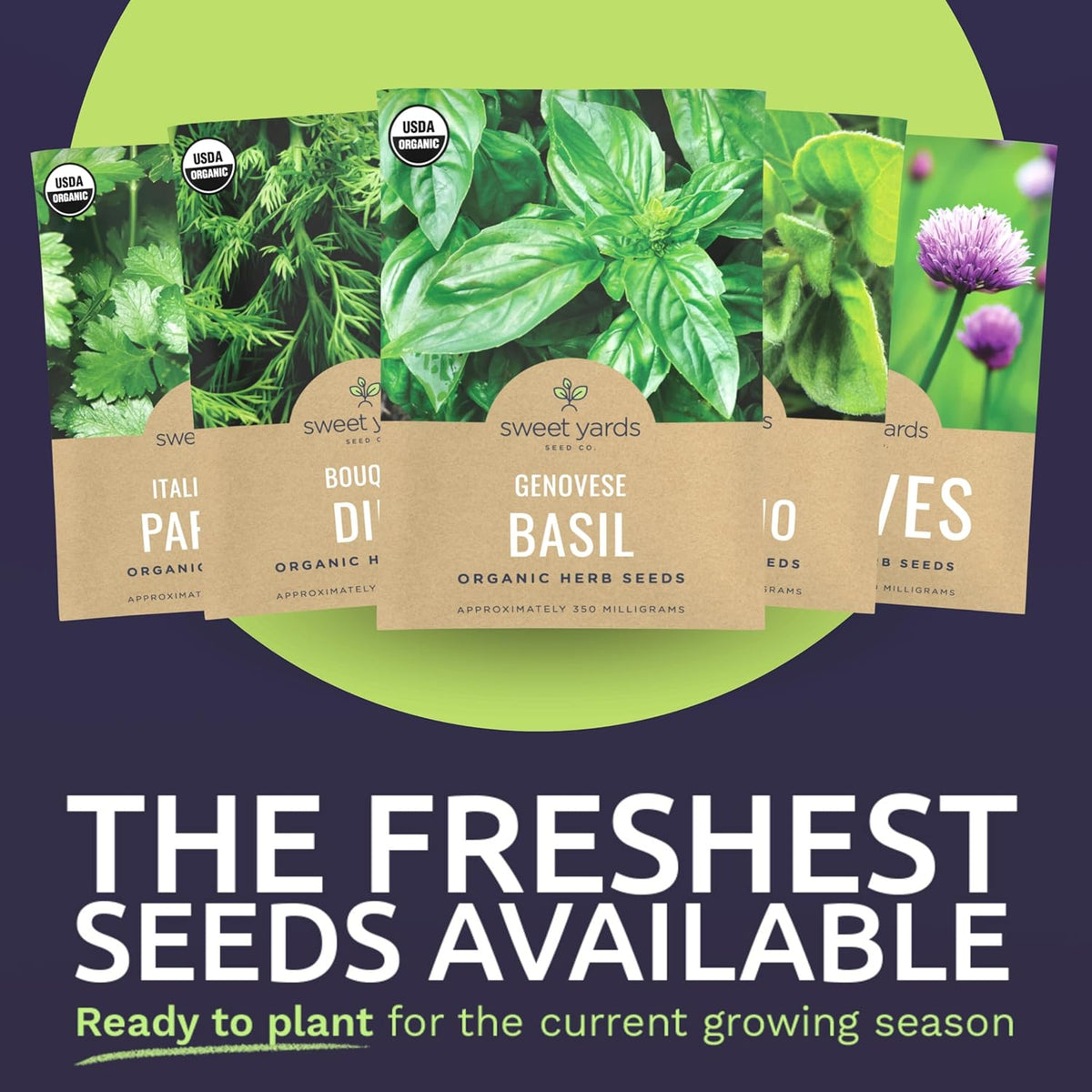 2025 season fresh seeds optimized for high germination rates