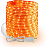 Brizled Rope Lights 18ft 216 LED – Warm and Cool White Tube Lighting for Bedroom Ceiling and Living Room Accent Walls