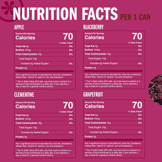 24-can and 48-can pack sizes in 8.4 fl oz slim cans, with multi-flavor variety packs and single-flavor options