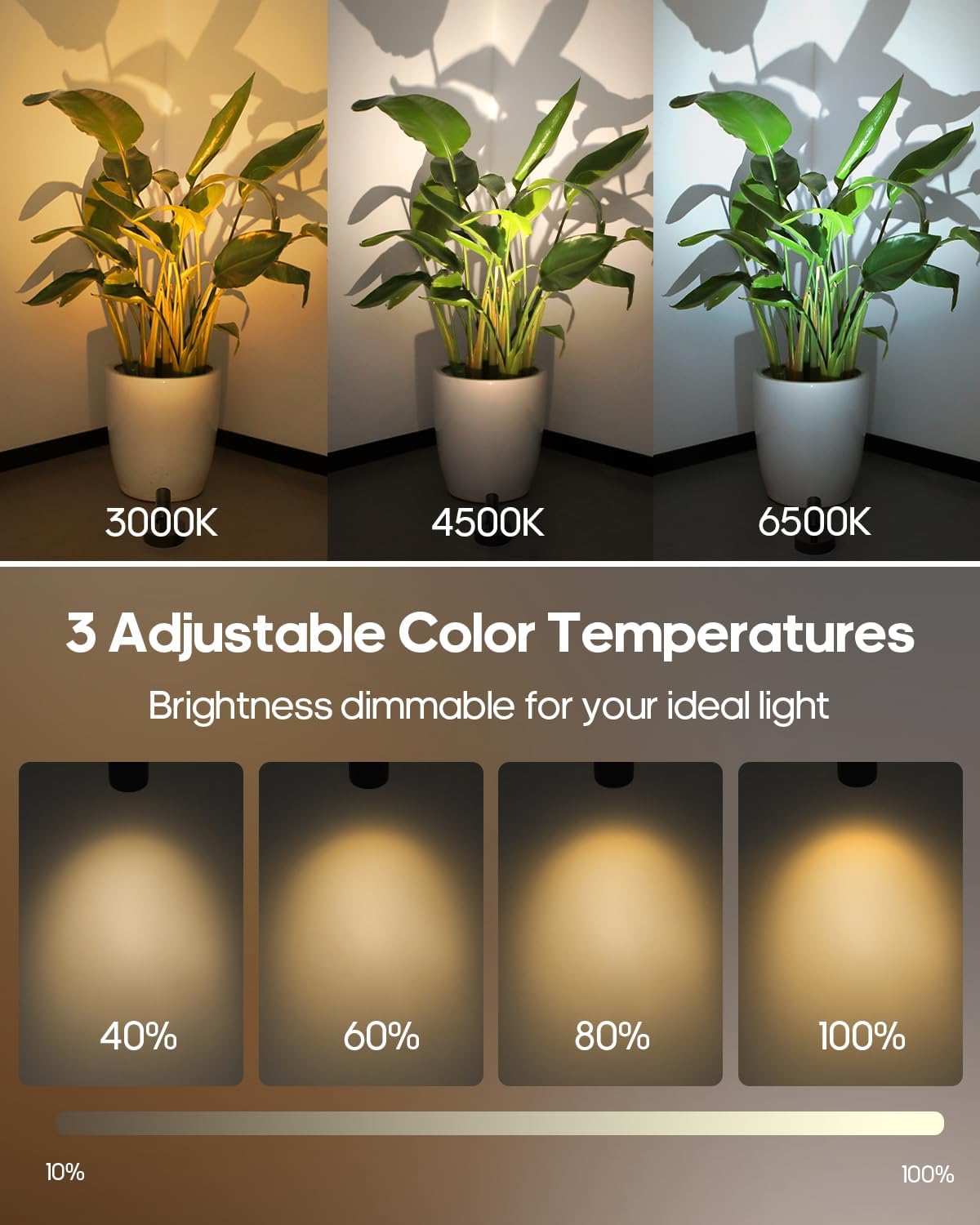 3 color temperatures (3000k warm / 4500k natural / 6500k cool) with stepless 10%–100% dimming