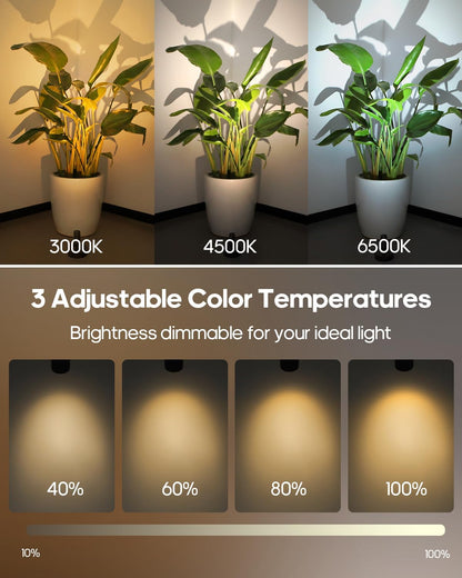 3 color temperatures (3000k warm / 4500k natural / 6500k cool) with stepless 10%–100% dimming