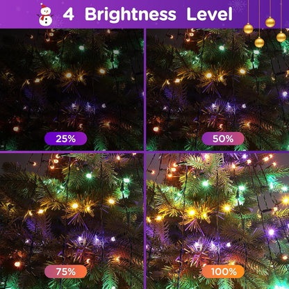 3 timer settings (6h/8h/4h on) plus memory function that retains last color, mode, and brightness