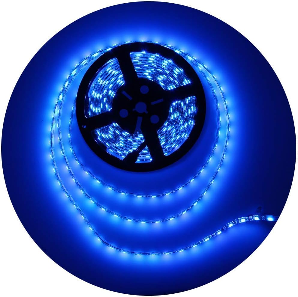 300 high-brightness 5050 blue smd leds at 60 leds/m for even, gap-free luminescence
