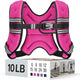 10 Lb - Pink