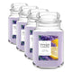Lemon Lavender - Large Jar (Pack of 4)