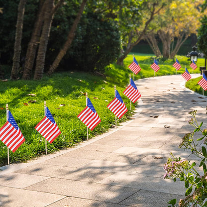 4x6 inch mini flag size suitable for children and adults