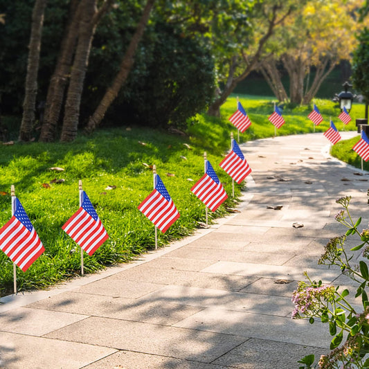 4x6 inch mini flag size suitable for children and adults