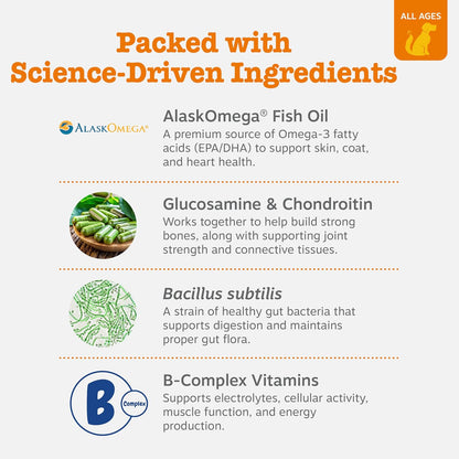 5-strain probiotic blend delivering 500 million cfu plus digestive enzyme blend for gut flora