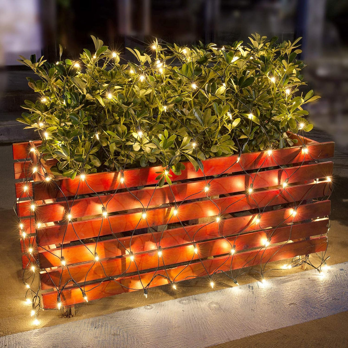 6ft x 4ft mesh net with 150 incandescent mini bulbs