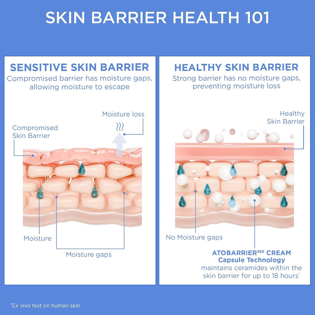 allergy-tested, non-comedogenic, and free of fragrance, colorants, and mineral oils