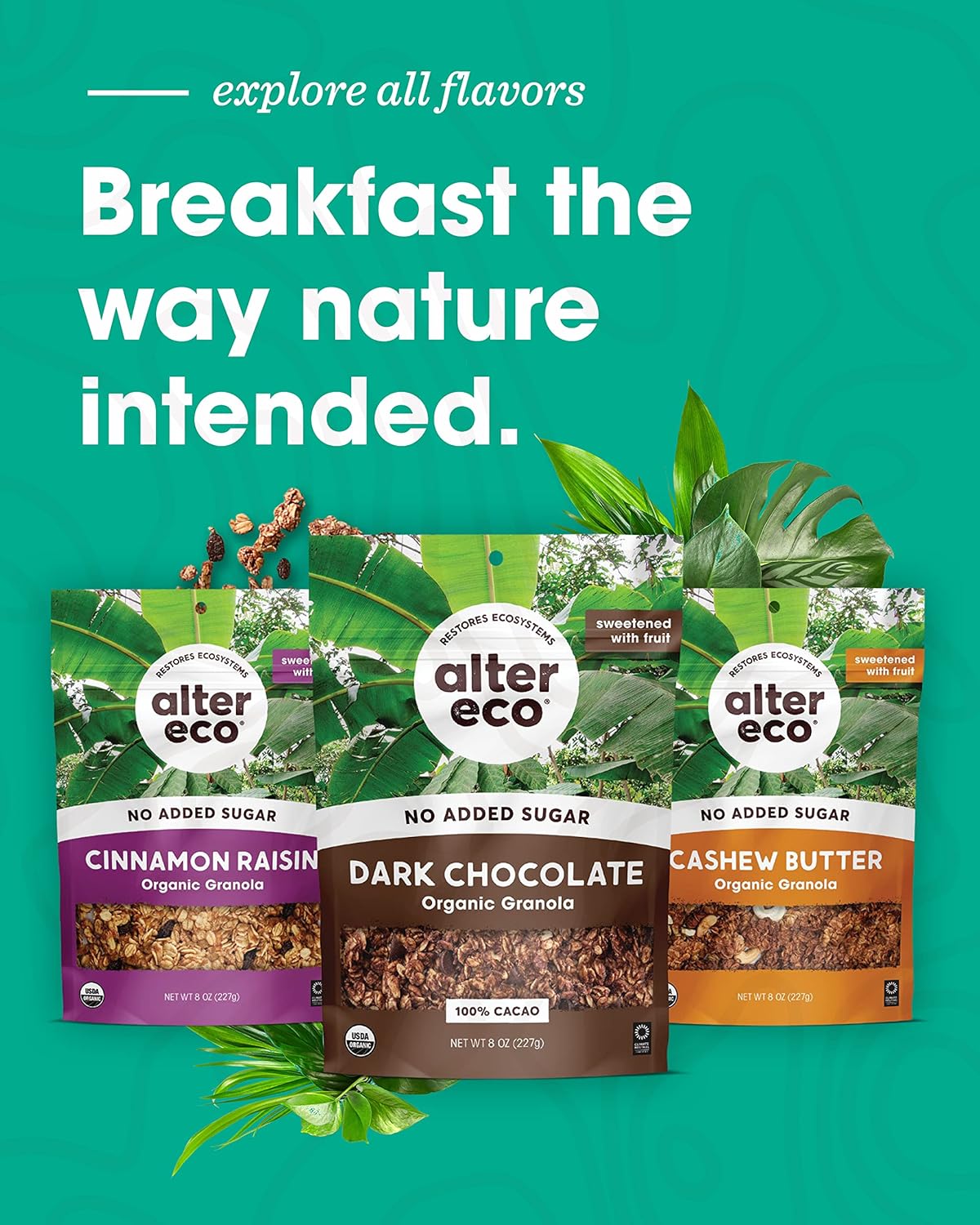 Alter Eco Cashew Butter Granola – Wholesome Lunchbox Snack for School and Daycare
