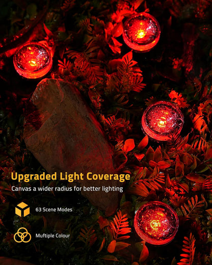 Aoycocr Christmas Pathway Lights – Clean 50FT Design with One App and Zero Visual Clutter