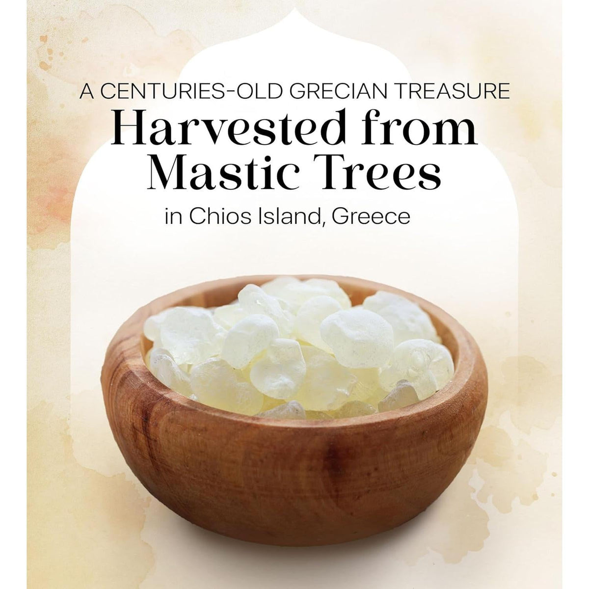 available in pack of 1 and pack of 3 value bundles