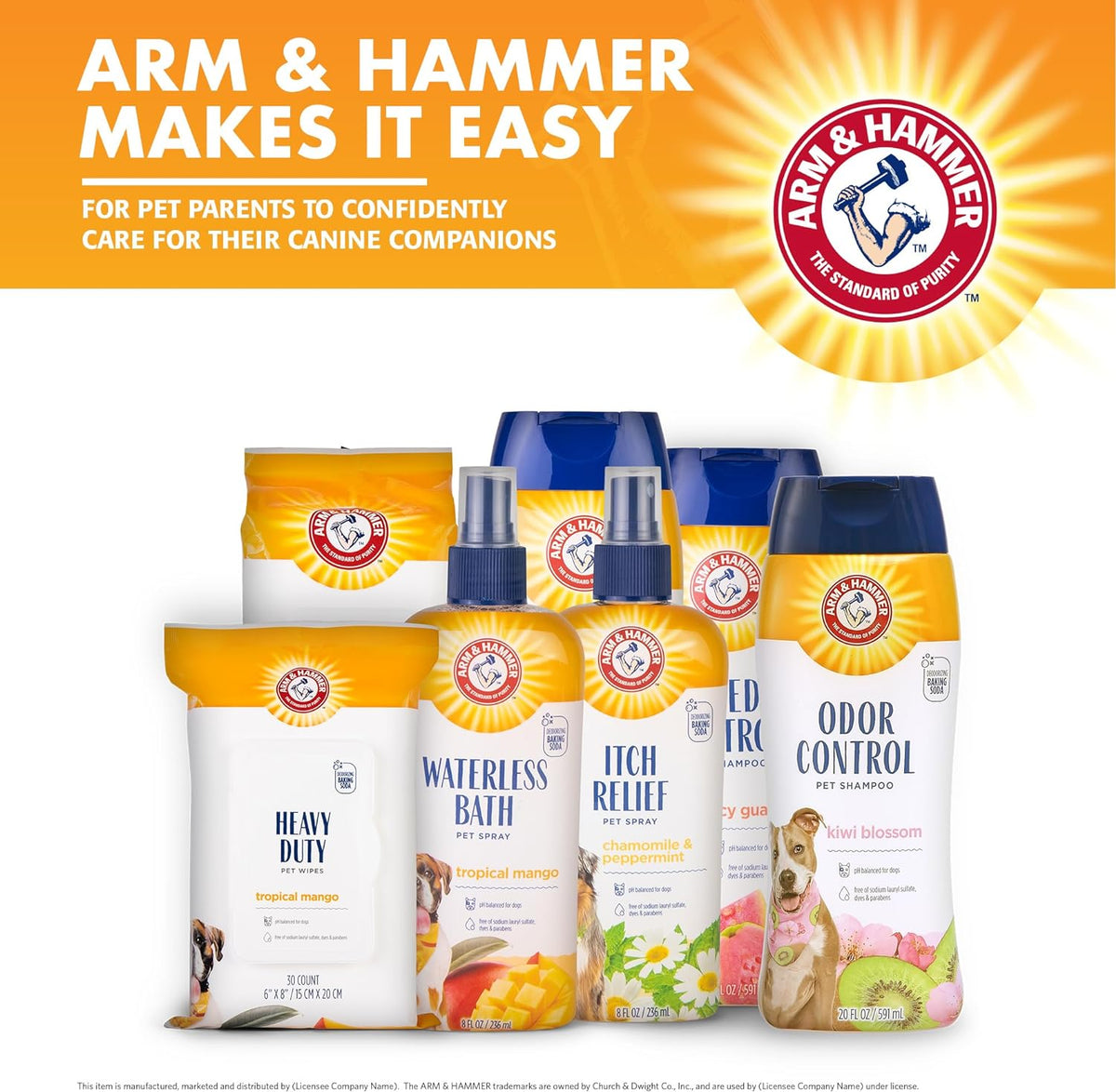 available in spray (8 fl oz) and foam (8 fl oz, 16 fl oz) formats with kiwi blossom or blueberry coconut scents