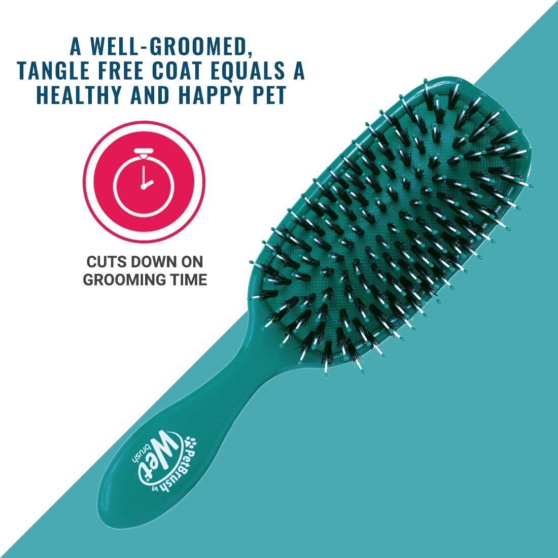 available in two color variants: teal and terracotta