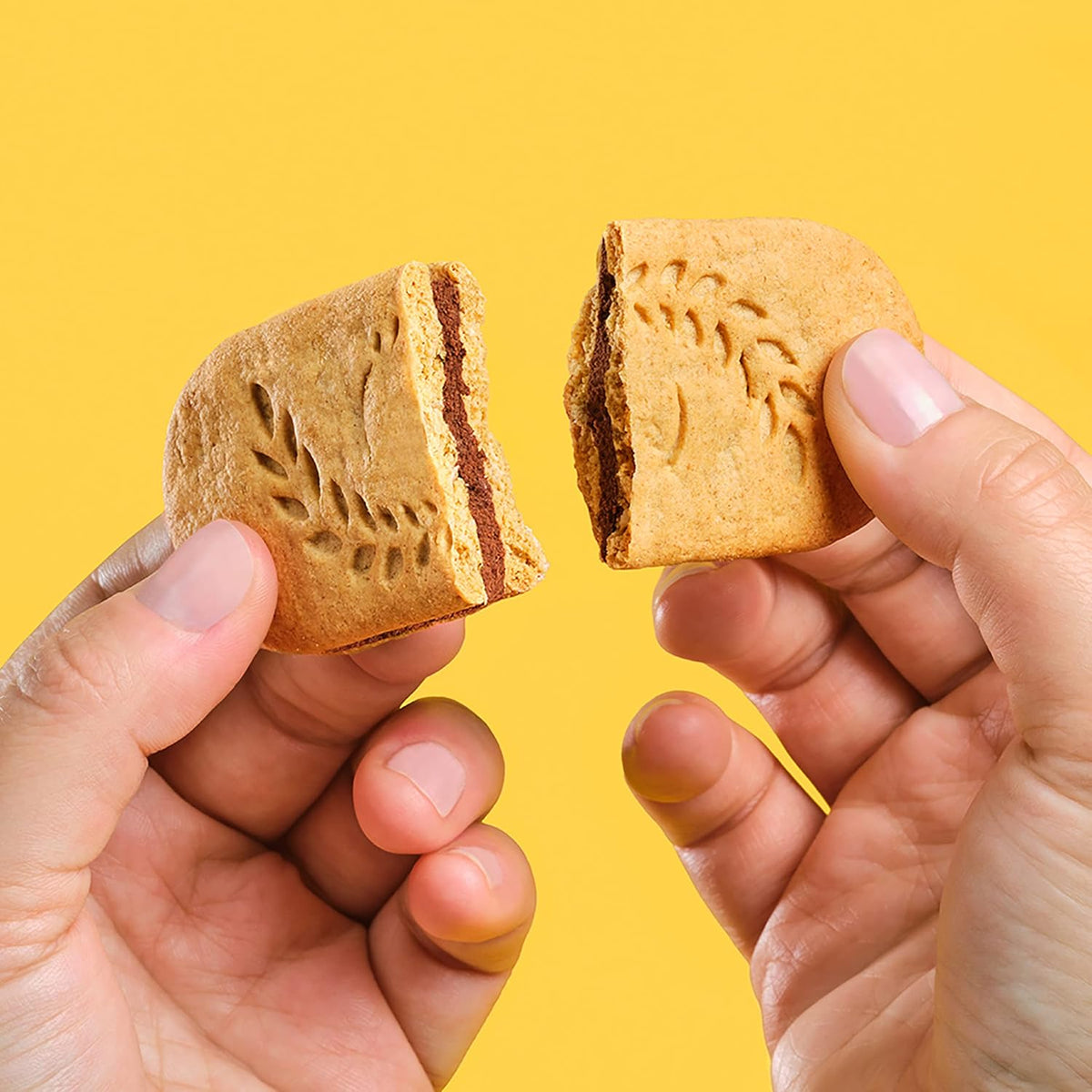 belVita Breakfast Sandwich Bars – Affordable Study Snack for the Dorm and Library, 12-Pack
