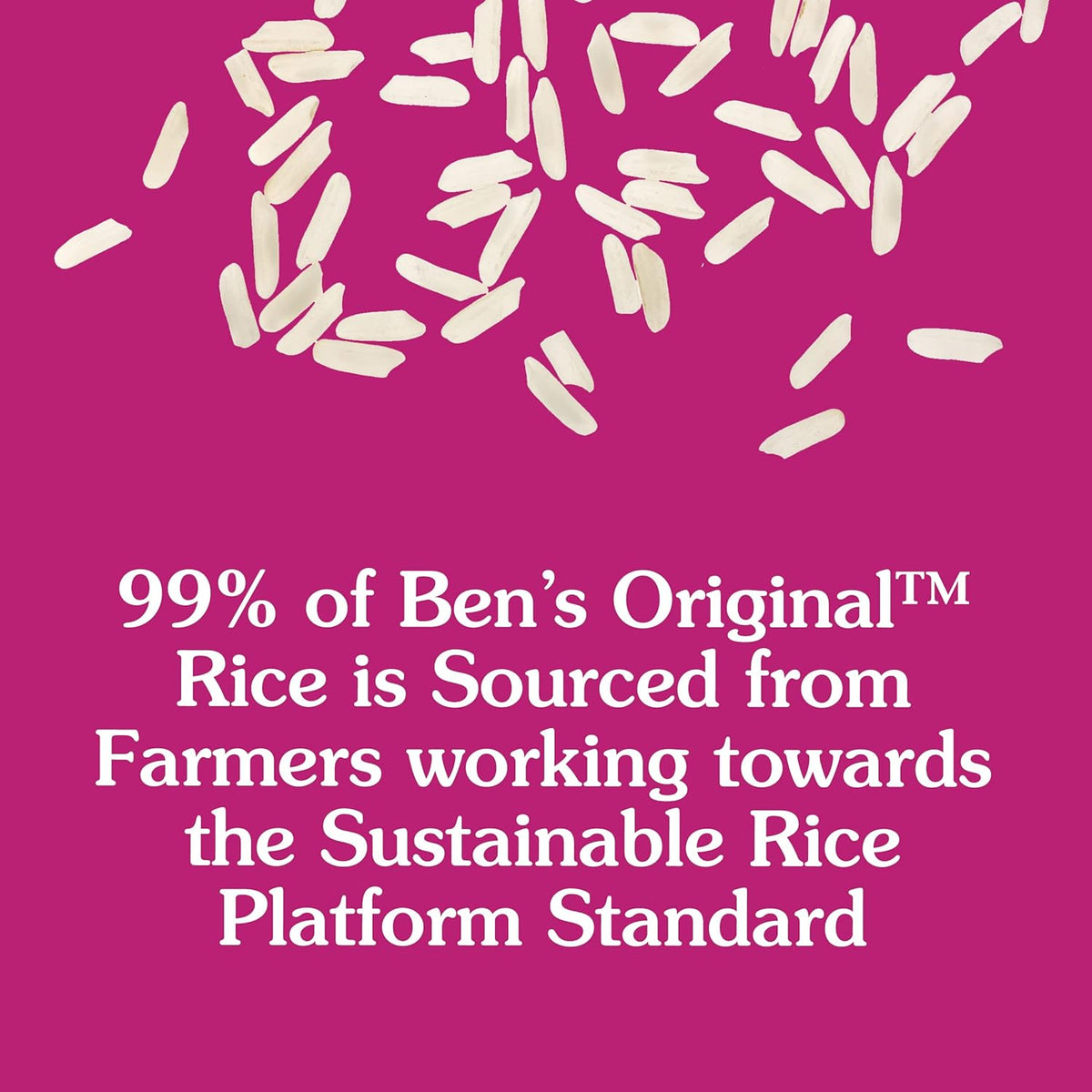 BEN'S ORIGINAL Whole Grain Brown Rice, 5 lb Bag – Family-Friendly Brown Rice Blend for Picky Eaters at the Dinner Table