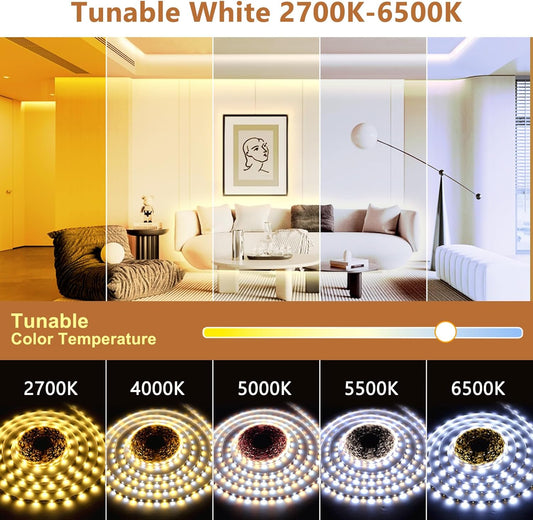 bluetooth app (lotuslamp x) with 0-100% dimming, timer, group control, and memory function