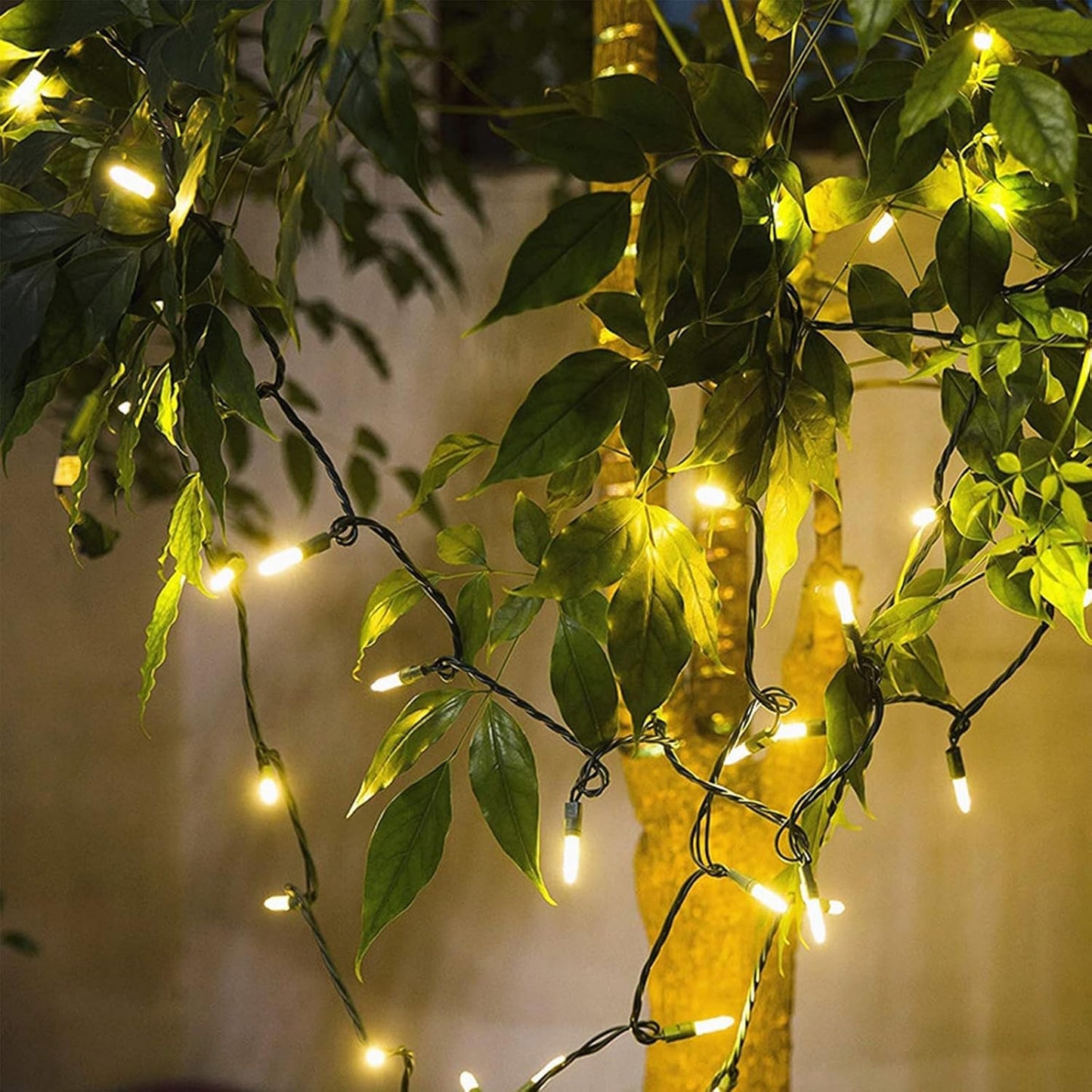Brightever 100 LED Outdoor String Lights Warm White – 35 Ft Connectable Patio & Backyard Lighting, Weather-Resistant Green Wire