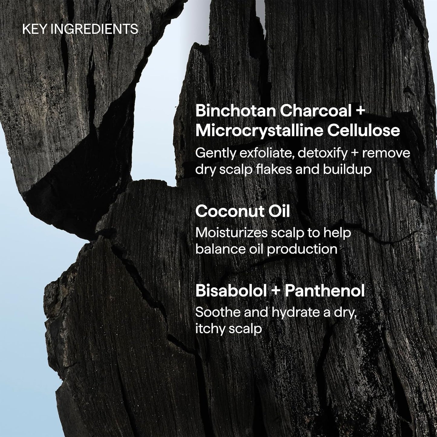 Briogeo Scalp Revival Charcoal + Coconut Oil Micro-Exfoliating Shampoo | Thoughtful Birthday Gift for Her Self-Care Obsessed