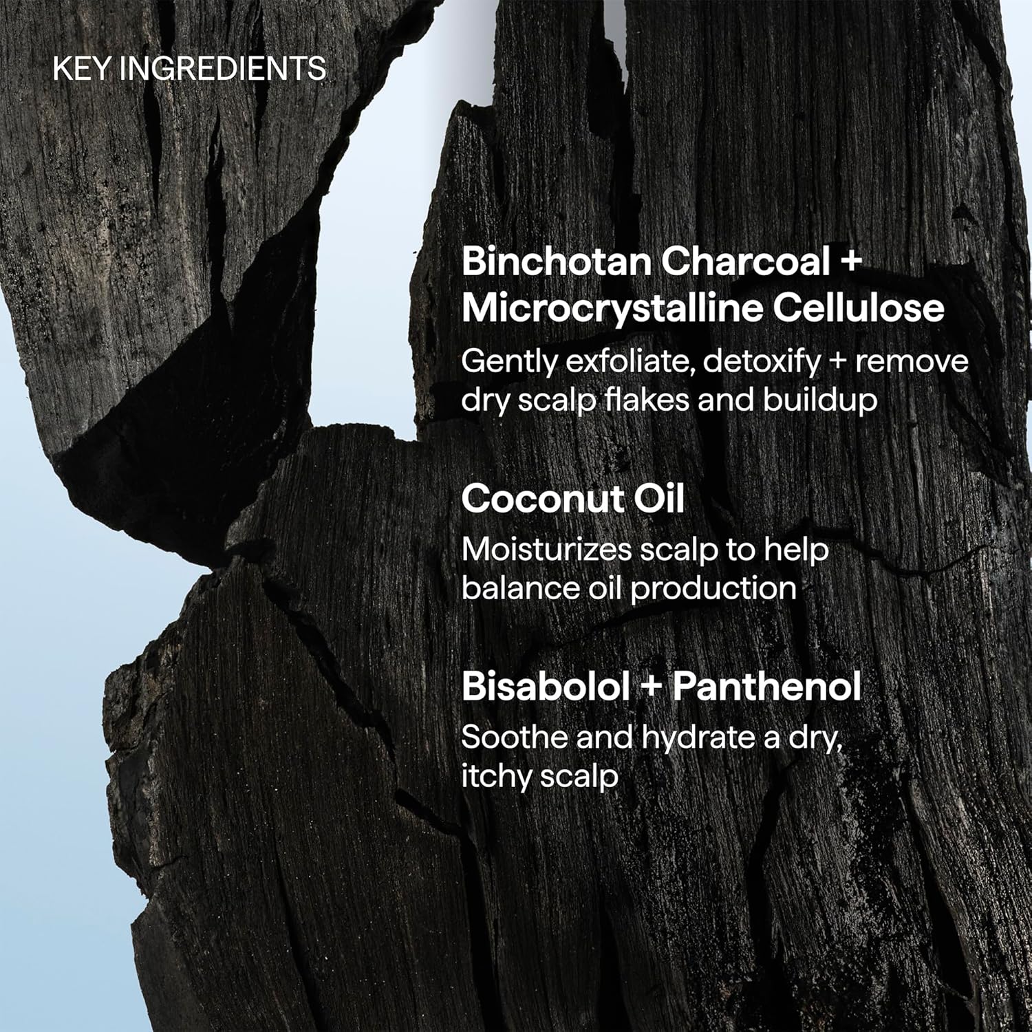 Briogeo Scalp Revival Charcoal + Coconut Oil Micro-Exfoliating Shampoo | Thoughtful Birthday Gift for Her Self-Care Obsessed