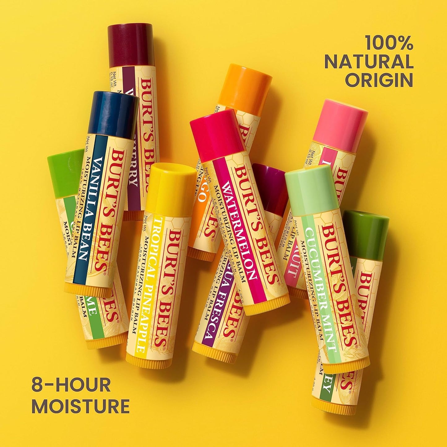 Burt's Bees 100% Natural Lip Balm – Clutter-Free Vanity Staple in a Simple Twist-Up Tube