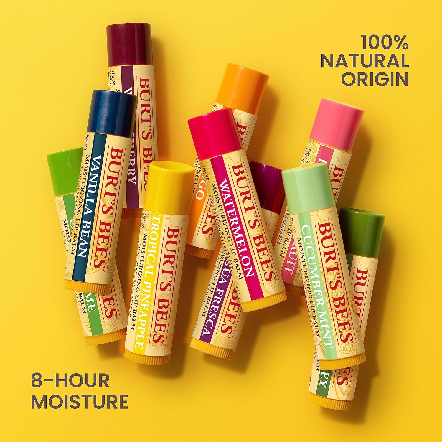 Burt's Bees 100% Natural Lip Balm – Clutter-Free Vanity Staple in a Simple Twist-Up Tube