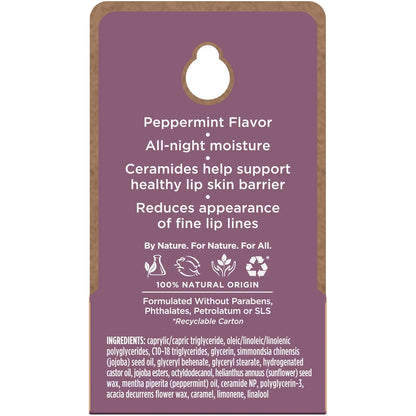 Burt's Bees Overnight Lip Treatment Set – Thoughtful Birthday Gift for Women Who Love Natural Skincare
