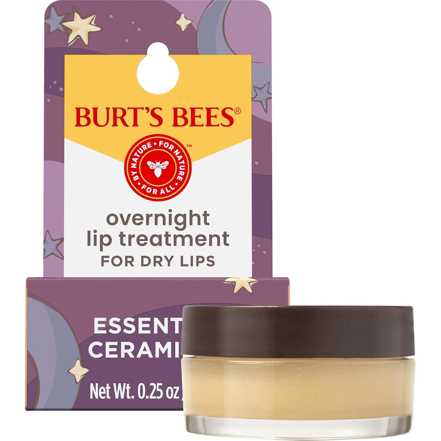 Burt's Bees Overnight Lip Treatment Set – Thoughtful Birthday Gift for Women Who Love Natural Skincare