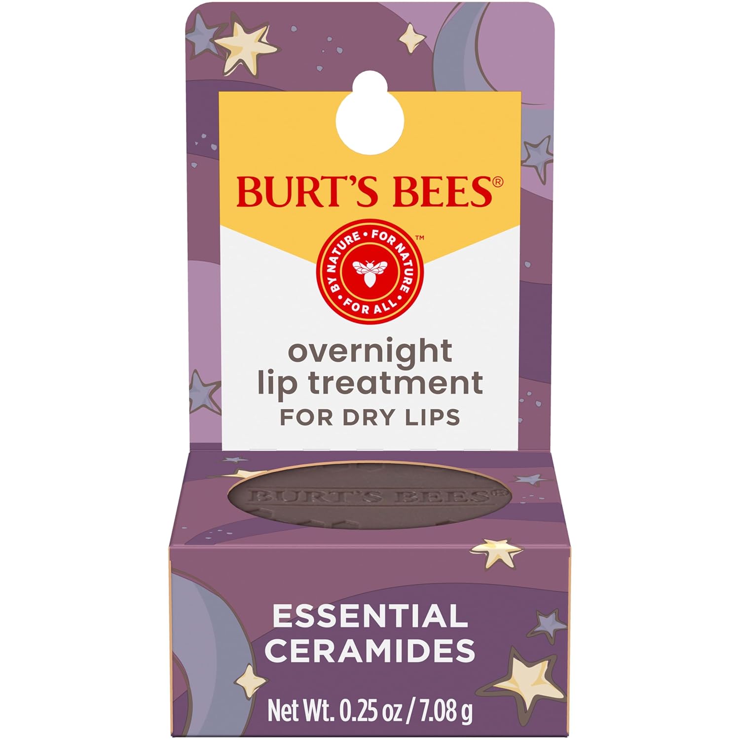 Burt's Bees Overnight Lip Treatment Set – Thoughtful Birthday Gift for Women Who Love Natural Skincare