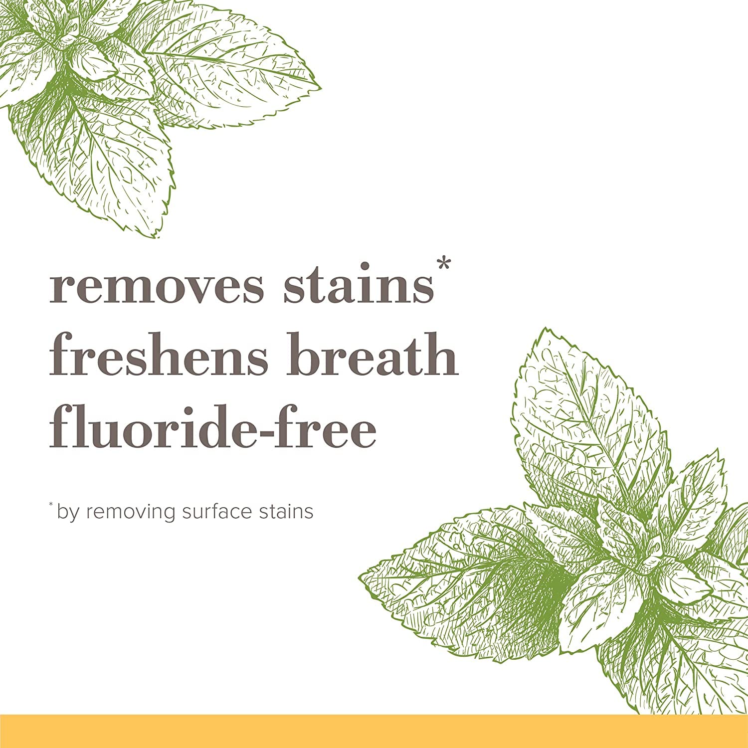 Burt's Bees Purely White Fluoride-Free Toothpaste Pack of 3 – Zen Peppermint Natural Gift for a Wellness Friend or New Homeowner