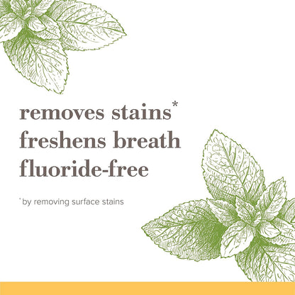 Burt's Bees Purely White Fluoride-Free Toothpaste Pack of 3 – Zen Peppermint Natural Gift for a Wellness Friend or New Homeowner