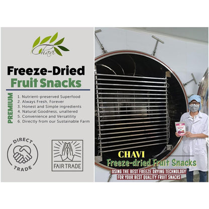 CHAVI Dragon Fruit Variety – Curated Gift for Tropical Fruit Enthusiasts and Holiday Stocking Stuffer