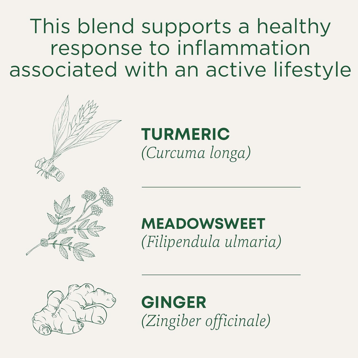 compostable tea bag material
