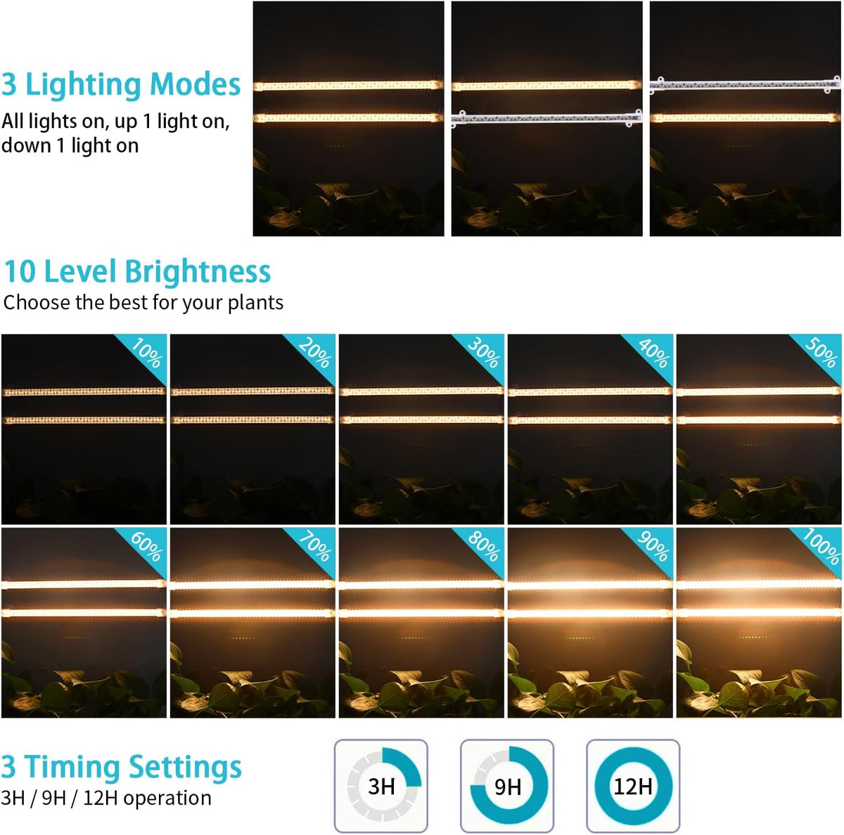 cycle memory timer with 3/9/12 hour auto on/off settings