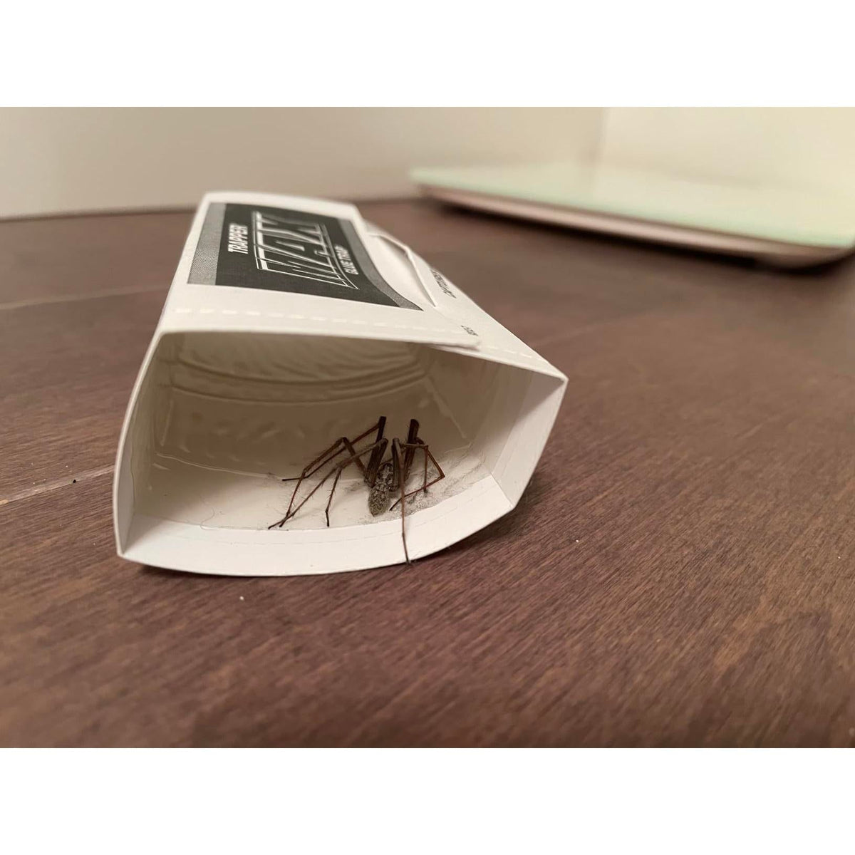 dual-mode design: use flat or folded into a tent shape