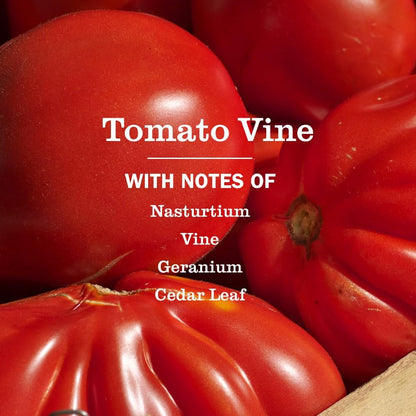 essential oil-based tomato vine scent (also available in fresh cut grass and dandelion)