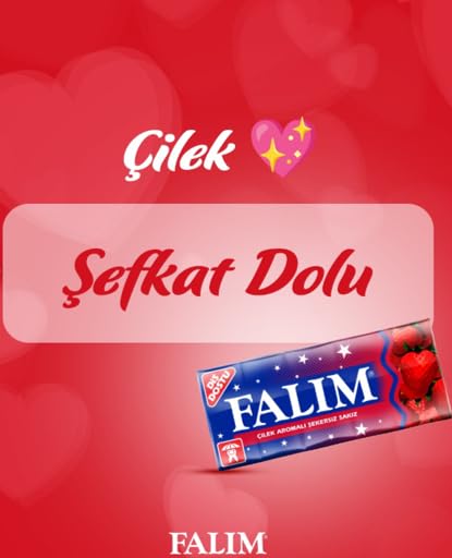 Falim Sugarless Plain Gum, Strawberry Flavored, 100 Piece