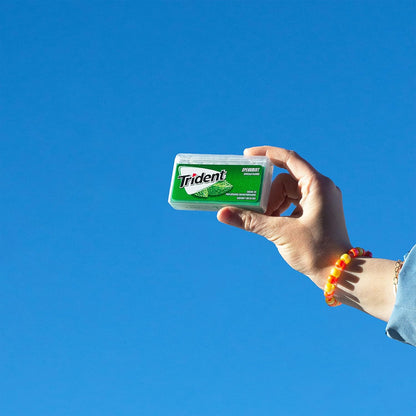 five-variant line offering spearmint, tropical twist, original, and cinnamon flavors plus a 12-pack spearmint bulk size