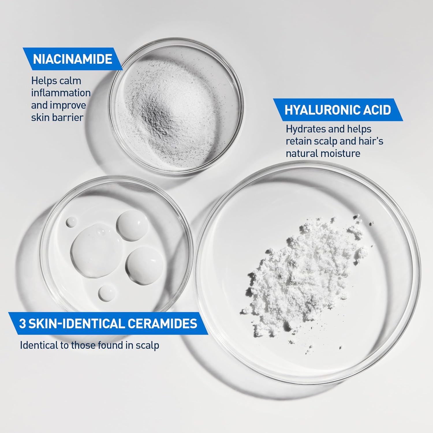 four product variations: 12oz single, 12oz 2-pack, 19oz single, and shampoo + conditioner set