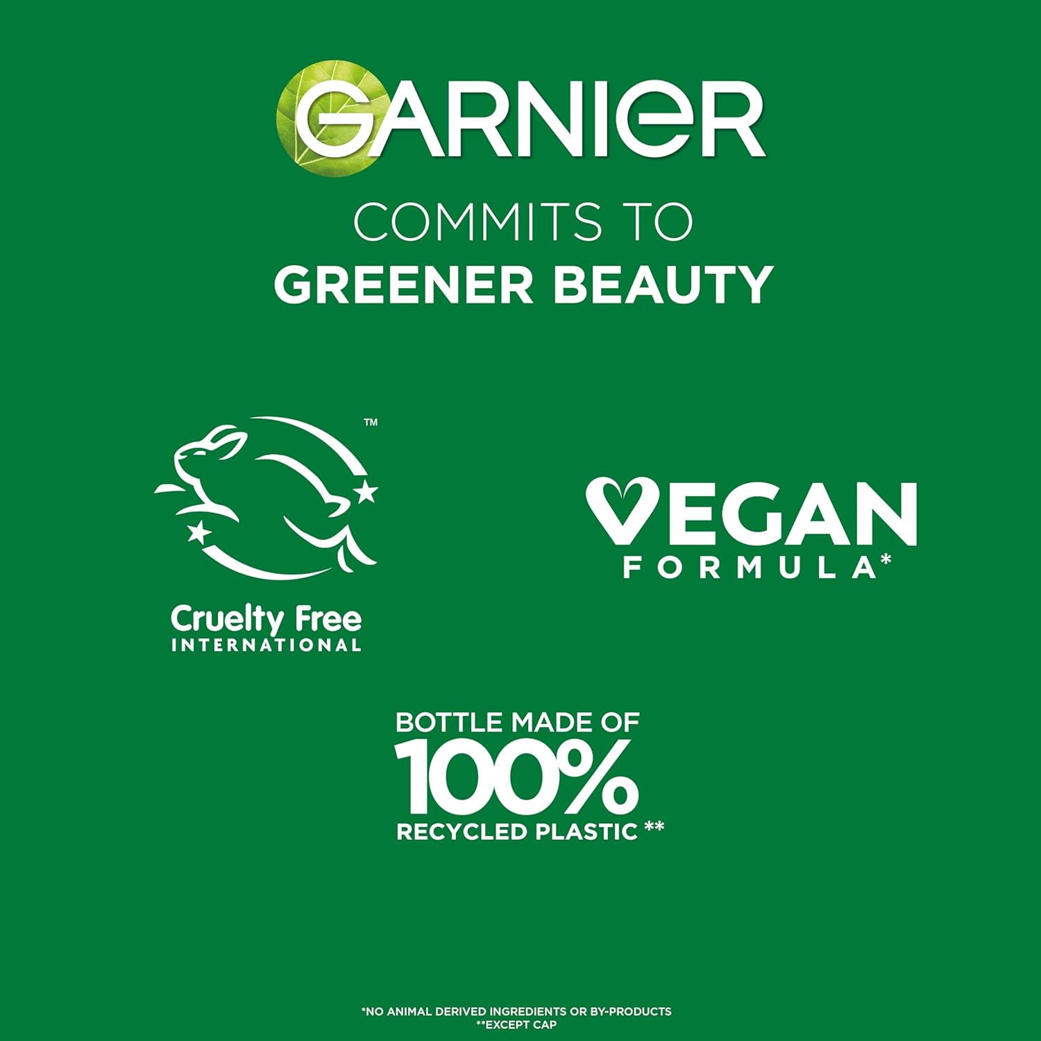 Garnier Fructis Sleek & Shine Leave-In Cream – Portable Frizz Control for Travel, Gym & Adventure