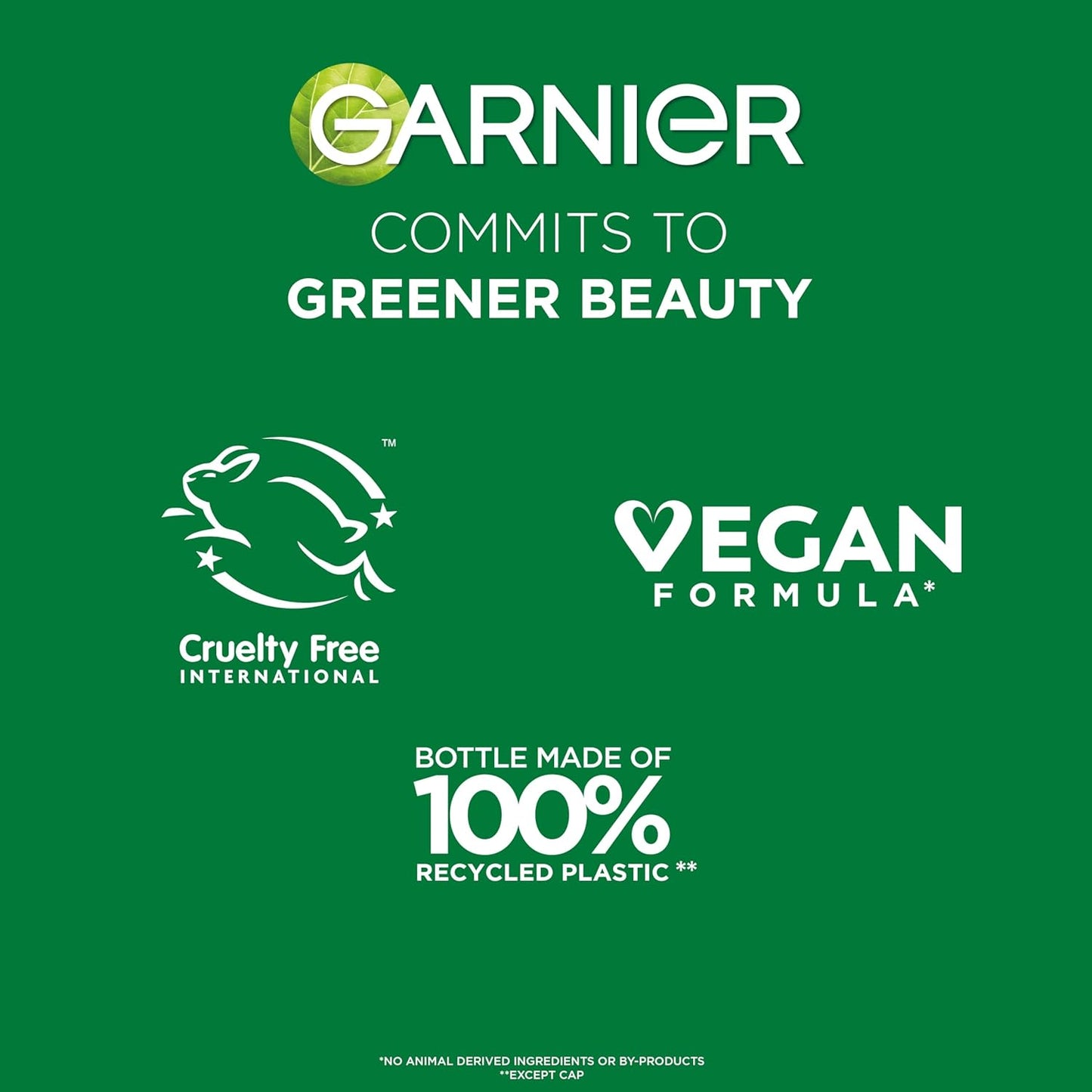 Garnier Fructis Sleek & Shine Set – Thoughtful Birthday Gift for Women with Frizzy Hair, Argan Oil Duo