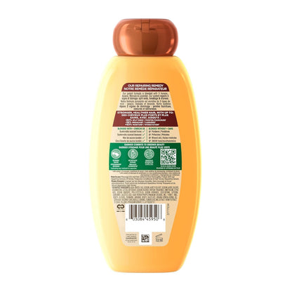 Garnier Whole Blends Honey Treasures Repairing Shampoo Gift Set – Self-Care Present for Her